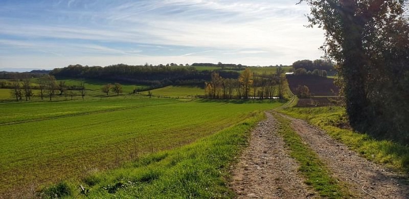 Chemin bordant les champs de Lamillarié