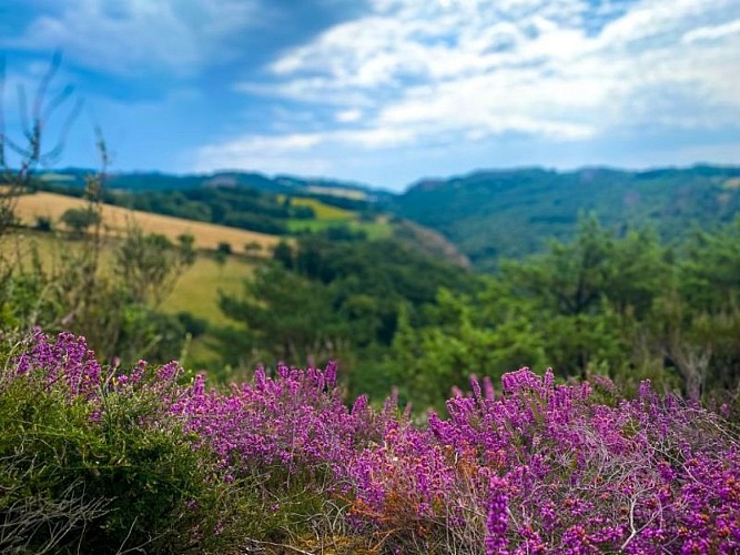 Point de vue sur les Vallées