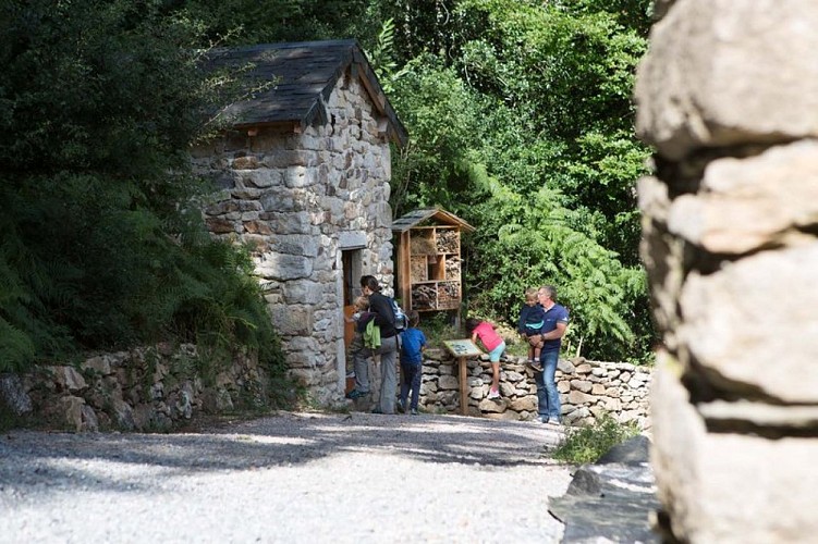 Les termes de Tsaquarello