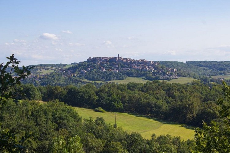 Vue sur Cordes depuis la pointe du Téroundel