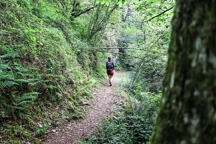Promeneur le long de la vallée du Viaur
