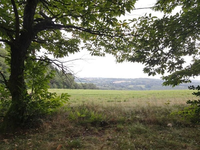 Point de vue de Lagrifoul