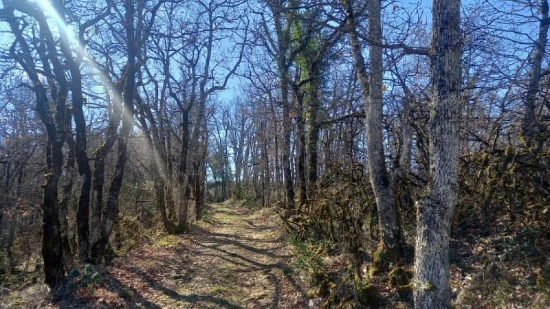 Circuit VTT n°25 Le Bonnan