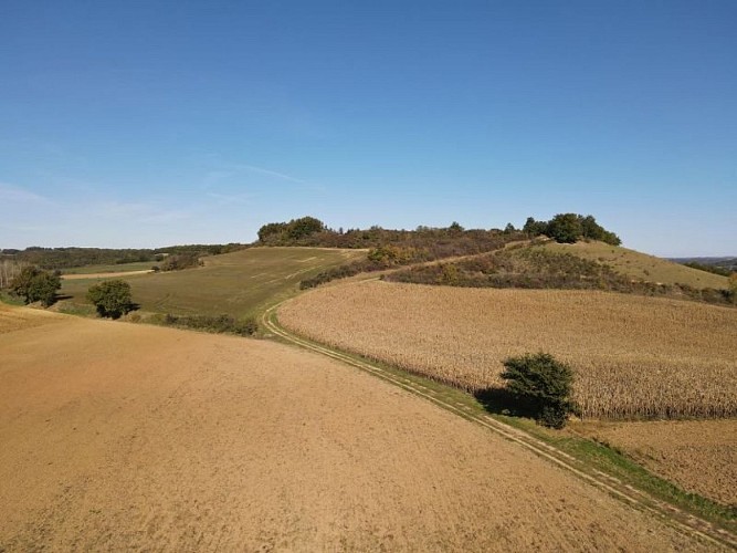 Chemin des Romains