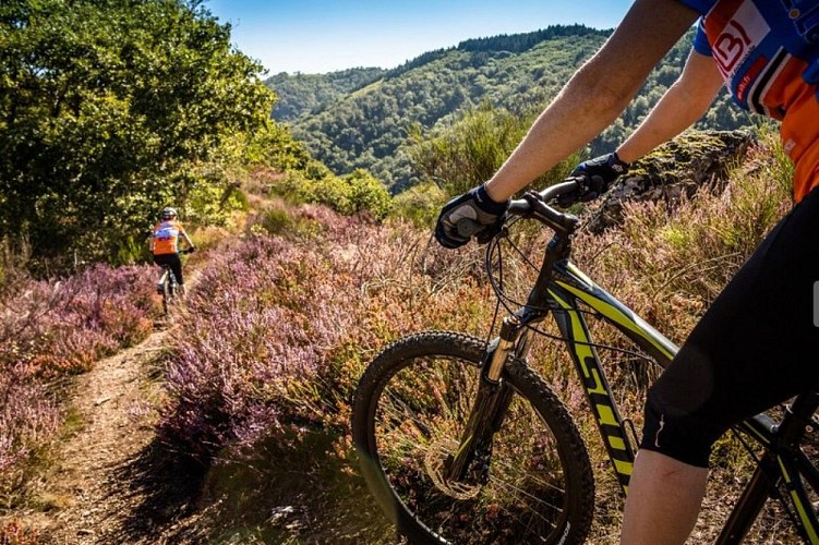 VTT - Secteur Lacaune les bains