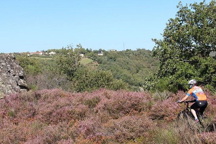 VTT dans la vallée du Viaur