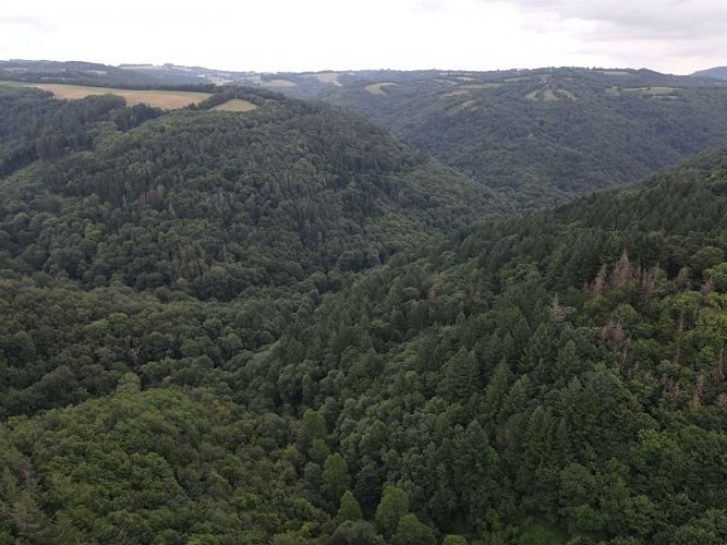 Vallée de l'Houlette