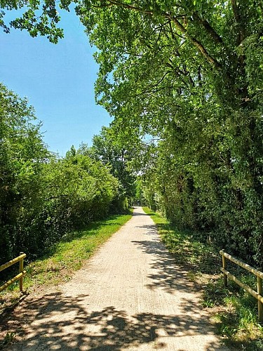 Le chemin des droits de l'Homme