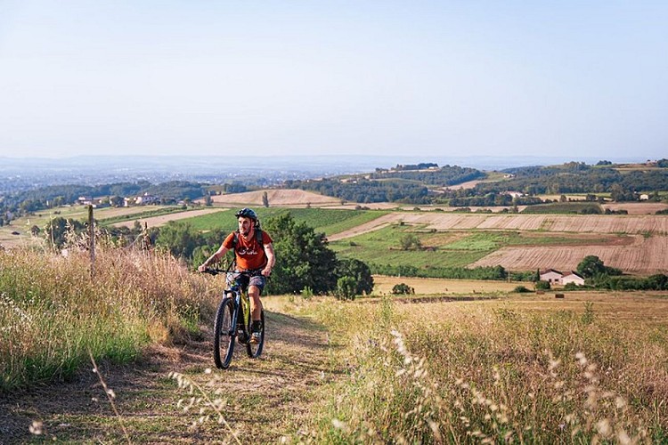 Circuit VTT n°5 - Les Cailloux blancs