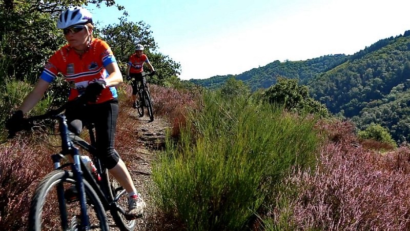 VTT dans la vallée du Viaur
