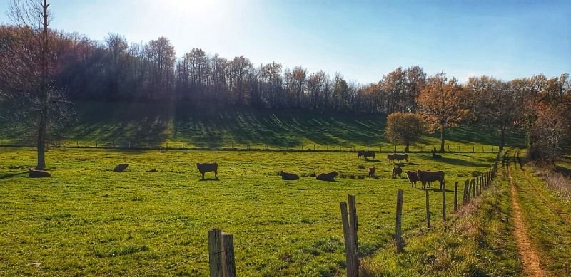 Campagne de Roumegoux