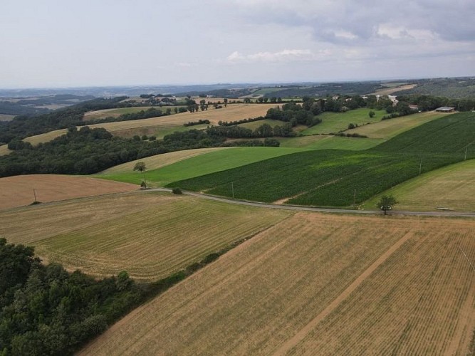 Saint Amans de Négrin