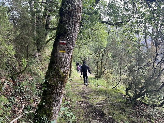 Sentier à travers les bois