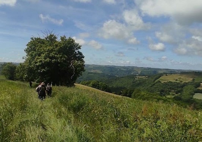 Vue sur les plateaux du Ségala