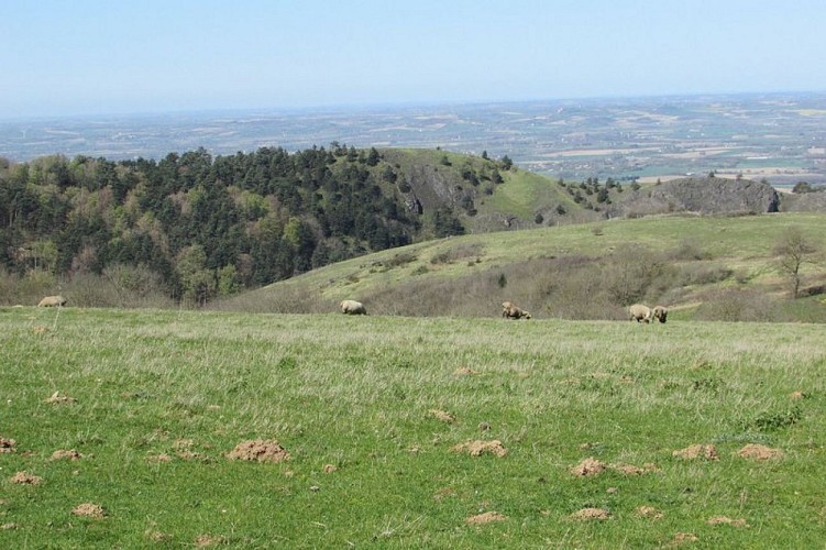 Paysage