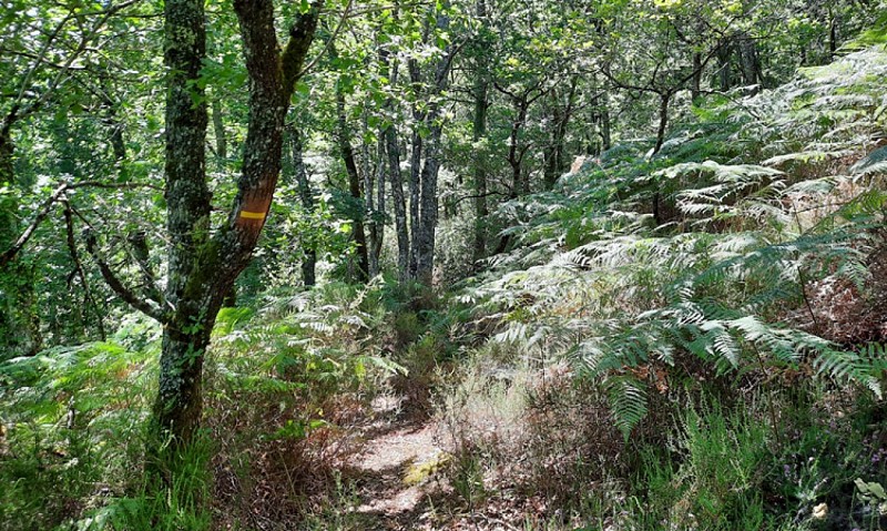 Signalétique sur le sentier