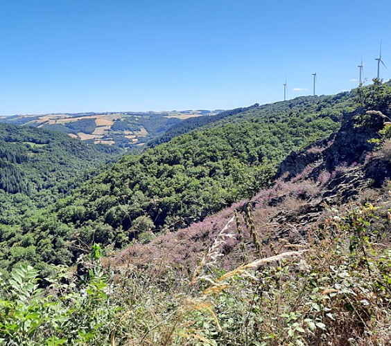Vue sur la vallée du ruisseau de Gaycre