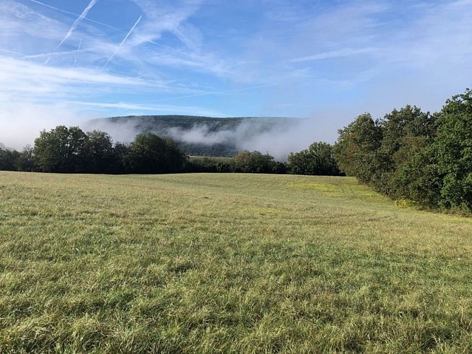 Milhars - Du Cérou à l'Aveyron
