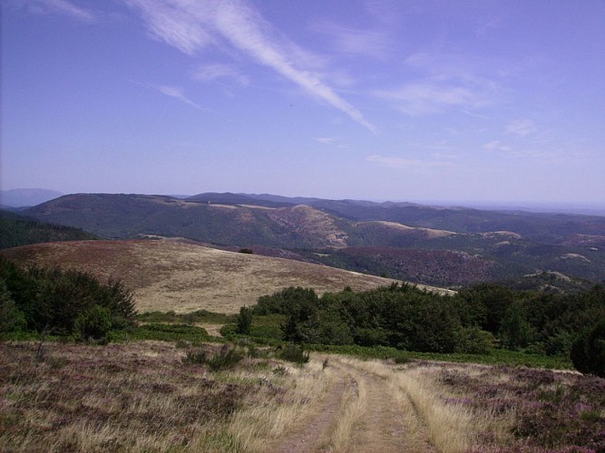 Plateau de Sales