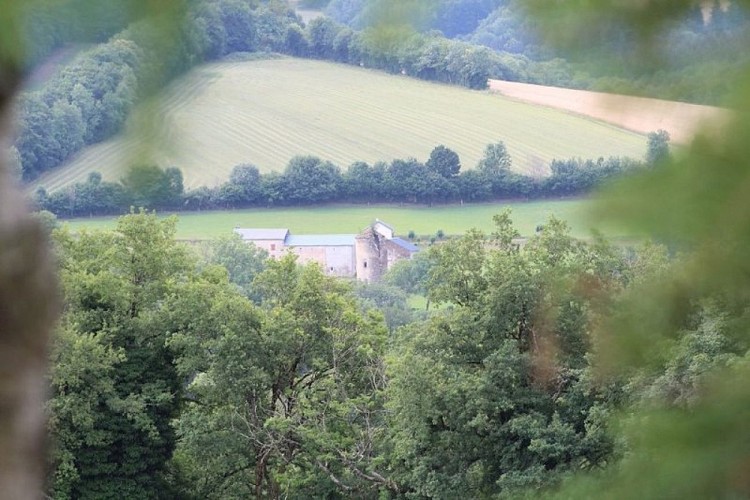 Fenêtre sur la nature