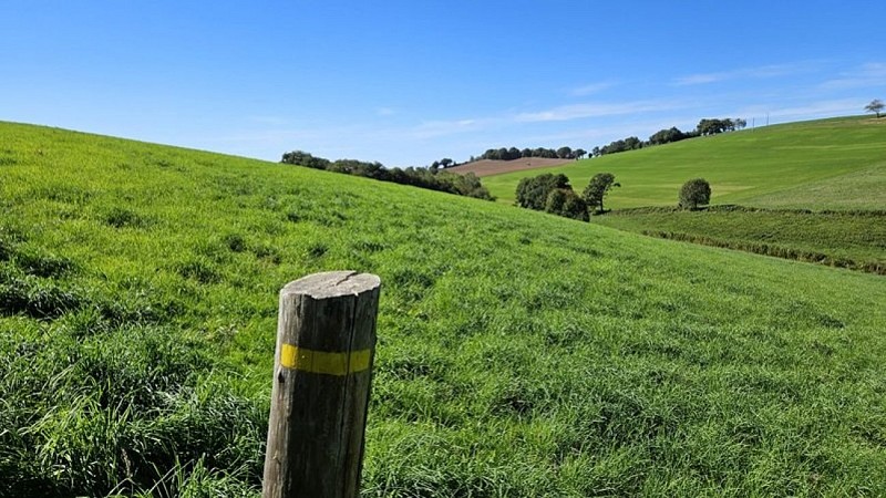 Sentier à travers prairies et collines