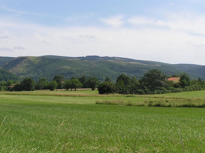 Paysage