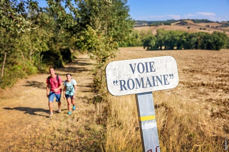Sur le chemin