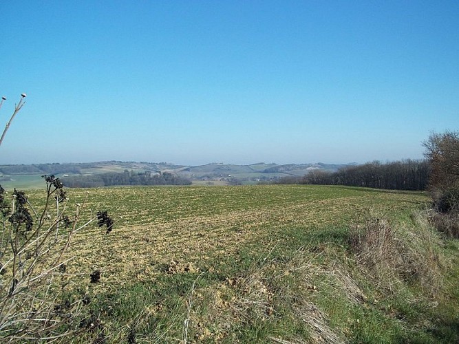 Point de vue