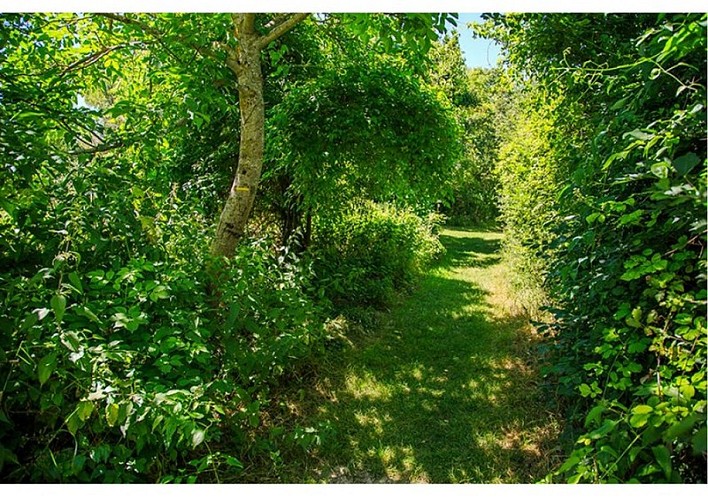 Le chemin du Pastel