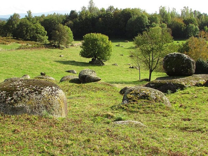 Paysage