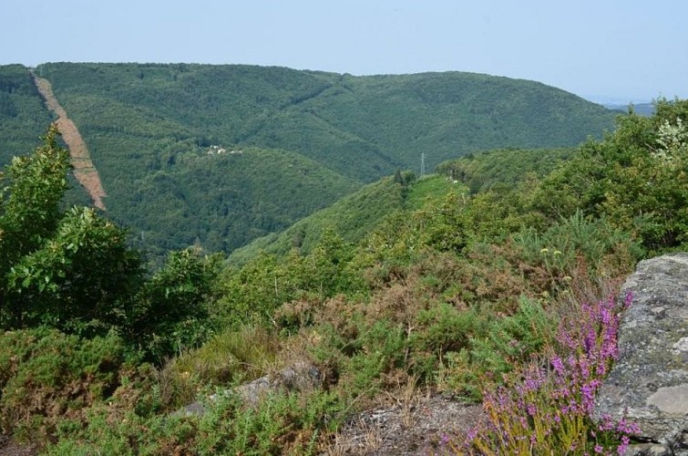 Peyremourou