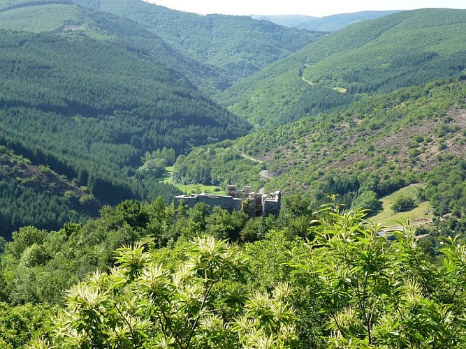 Vestiges du château