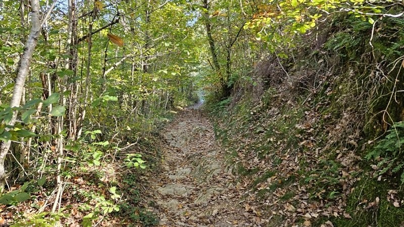 Chemin vers la vallée
