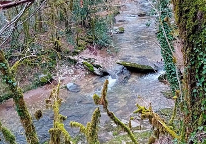 Le long du ruisseau de Lézert