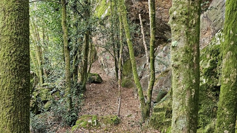 Le sentier sillonne entre les rochers