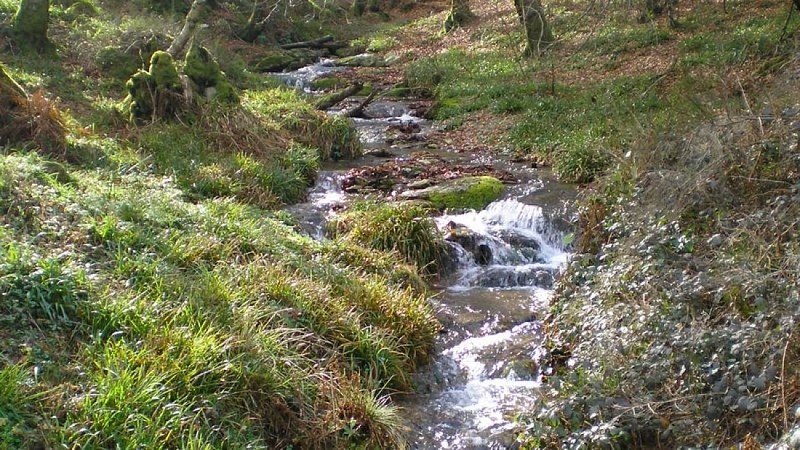 Ruisseau du Rieuvergnet