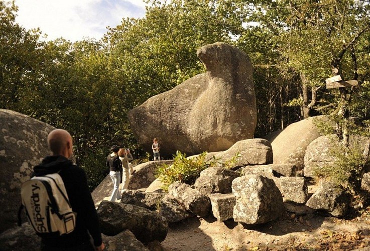 Roc de l'oie Sentier des Merveilles Sidobre