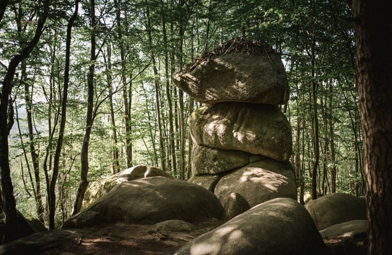 3 fromages sur le sentier des merveilles Sidobre