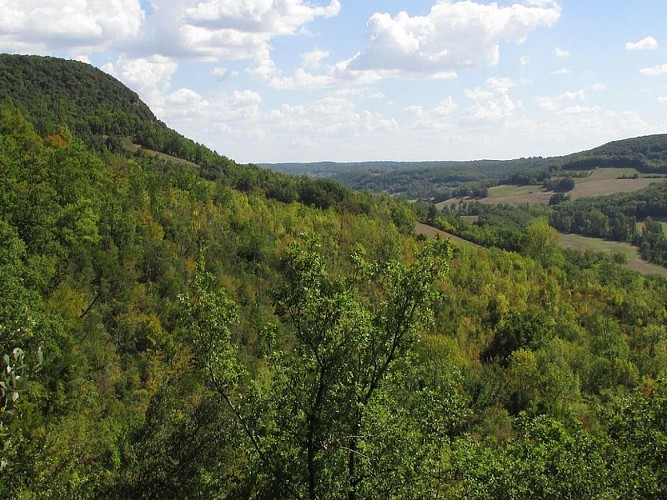 Paysage