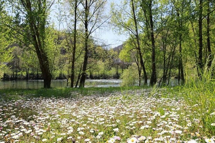La vallée du Tarn au printemps