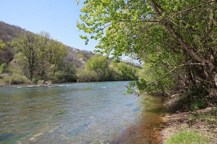 La rivière Tarn