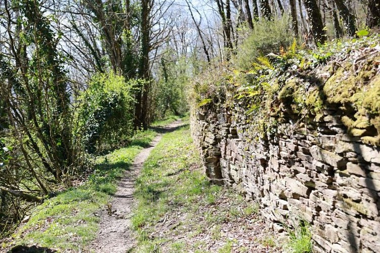 Le long du sentier