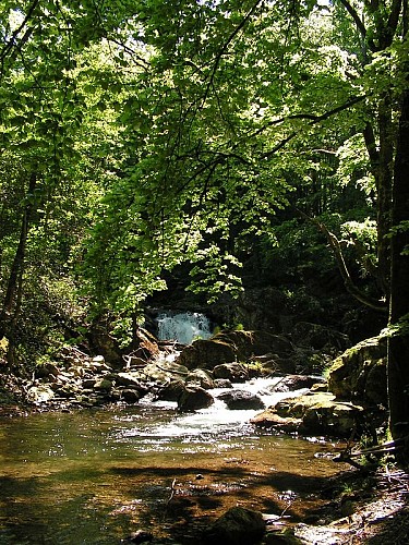 Candesoubre