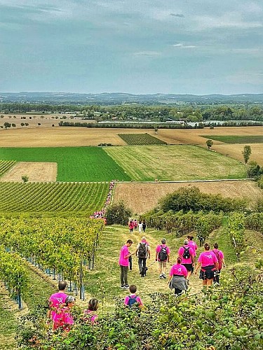 Vue sur la vallée du Tarn - Rando Octobre rose