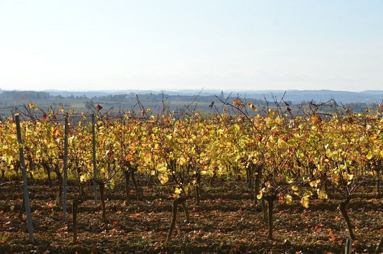 Vallon de la Caude