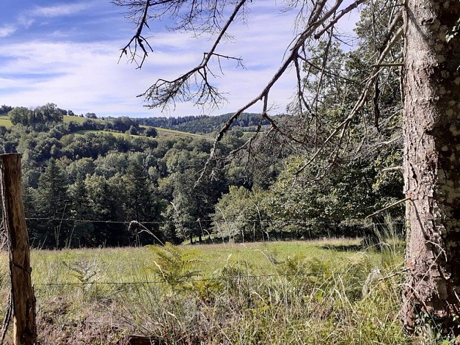 Bois et prairies Hameau de la Trivalle