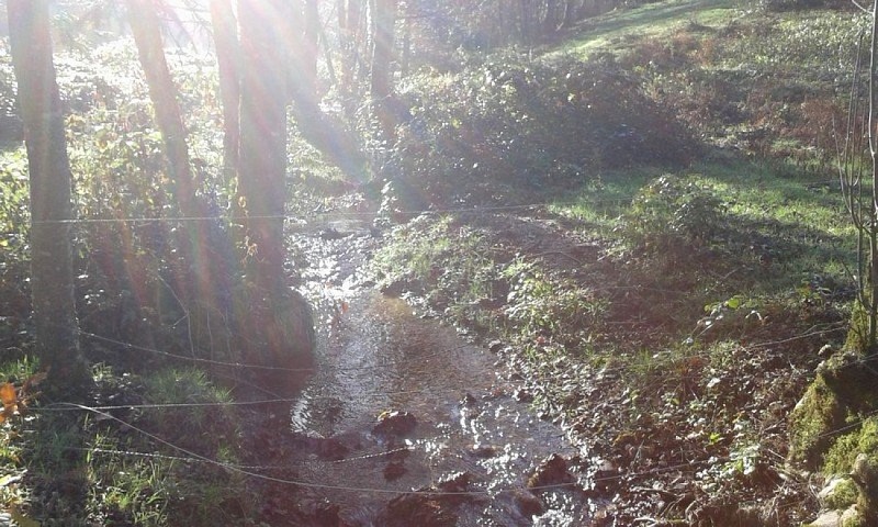 Ruisseau au moulin de la Broussonnié