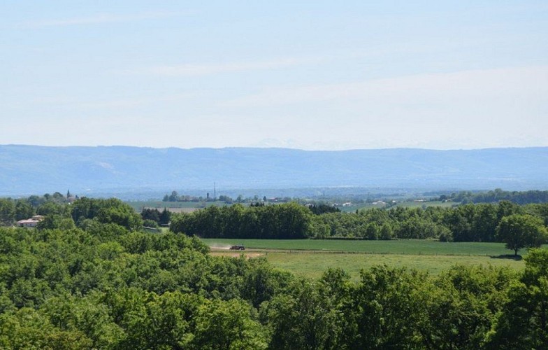 Paysage de Montfa avec vue sur la Montagne Noire et les Pyrénées