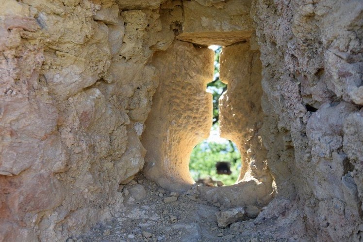Détail du château de Montfa