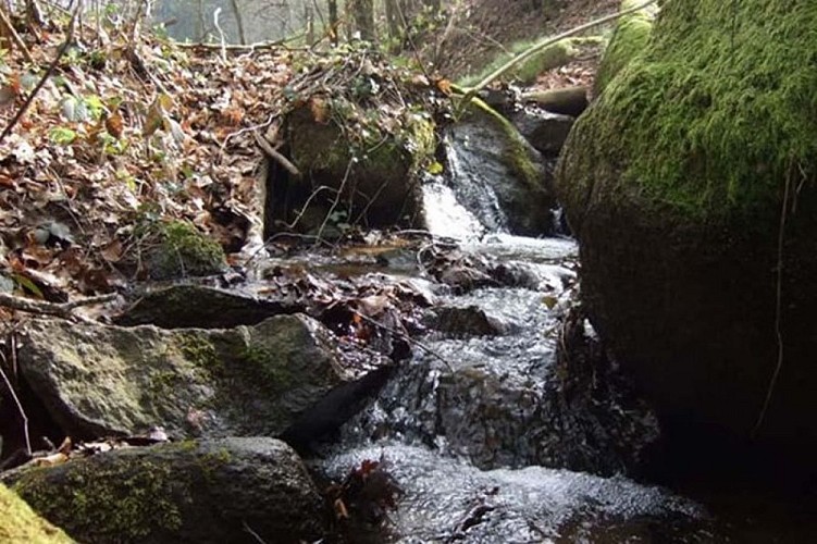 Randonnée du Puèch de Bourion - sur les traces des maquisards